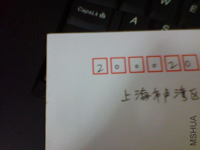20100816.jpg
