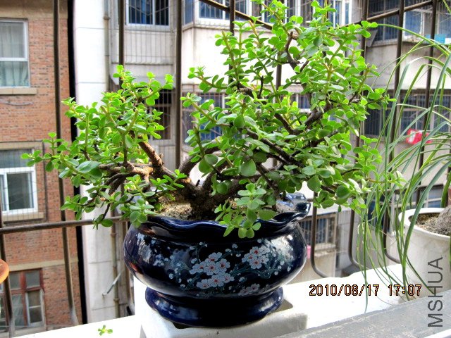 IMG_0697.jpg