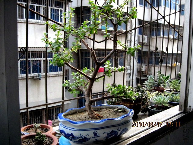 IMG_0700.jpg
