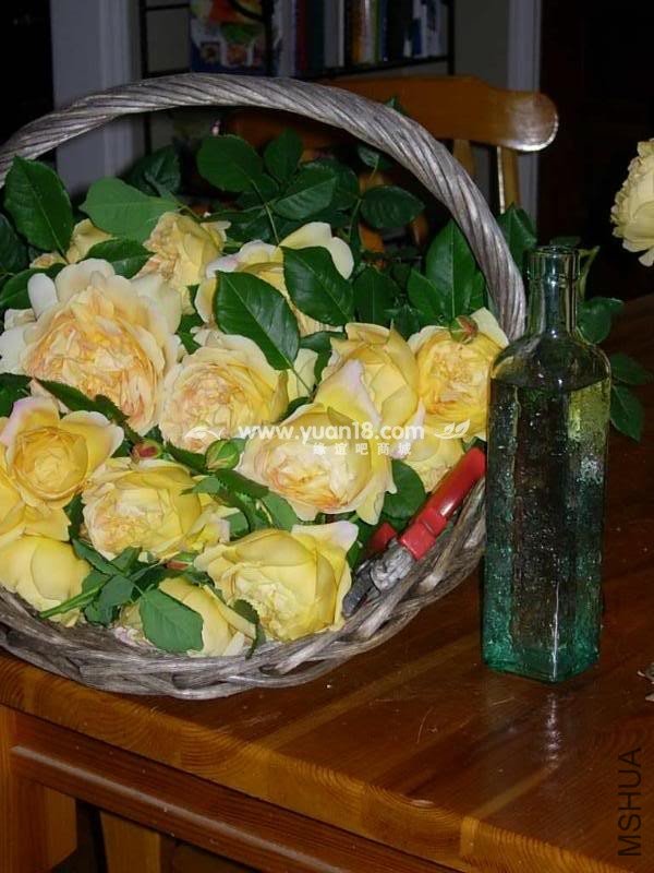 Golden Celebration 30.jpg