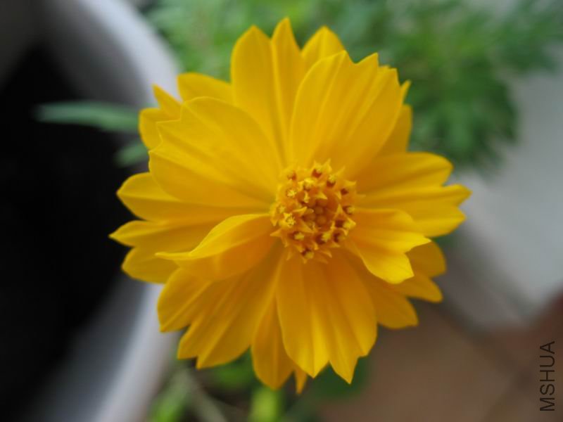 ������С ��Ƭ 013.jpg