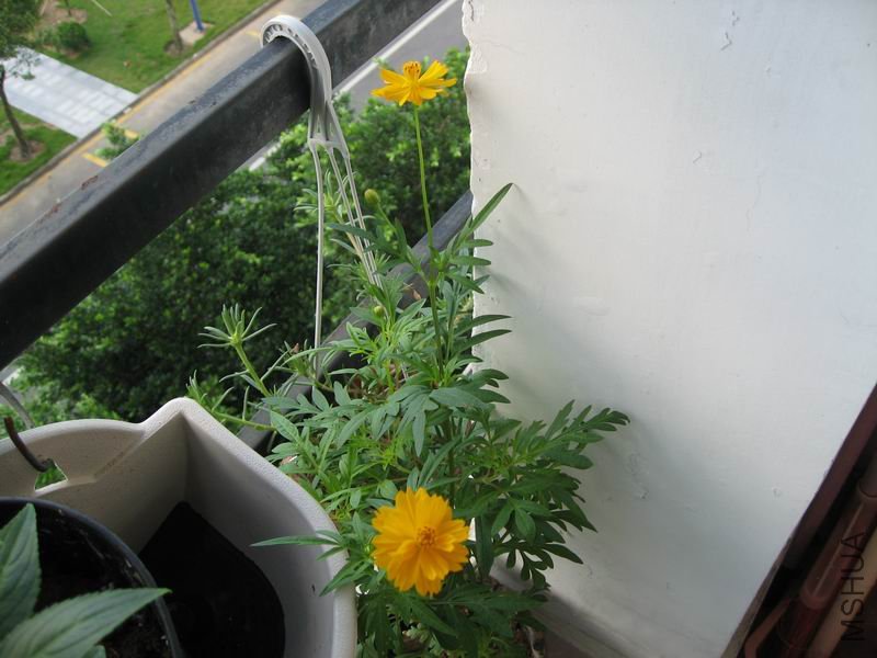 ������С ��Ƭ 012.jpg