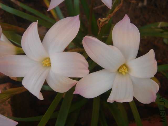 DSC04827.JPG
