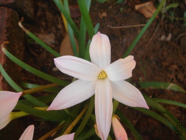 DSC04826.JPG