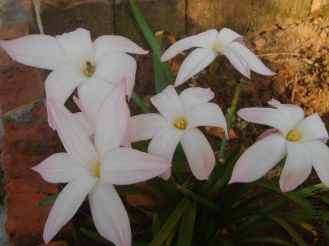 DSC04828.JPG