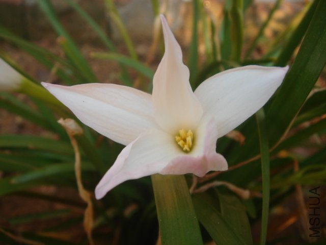 DSC04829.JPG