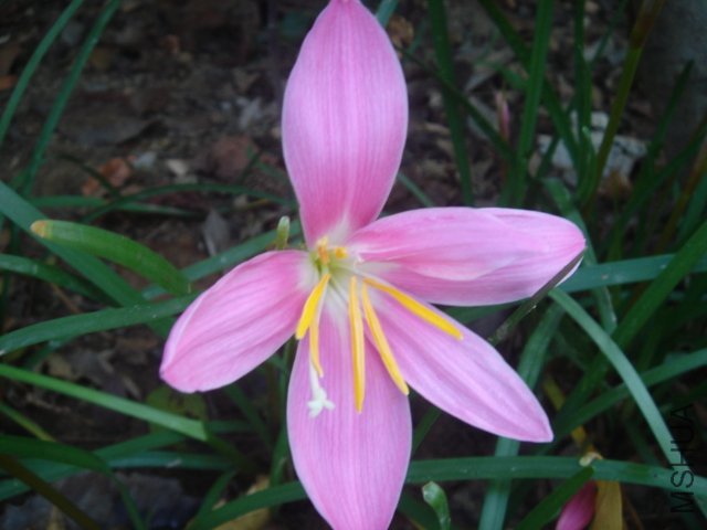 DSC04839.JPG