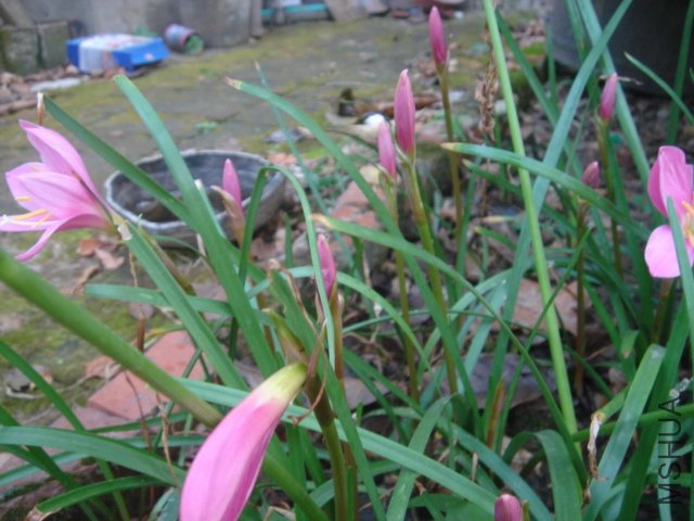 DSC04841.JPG