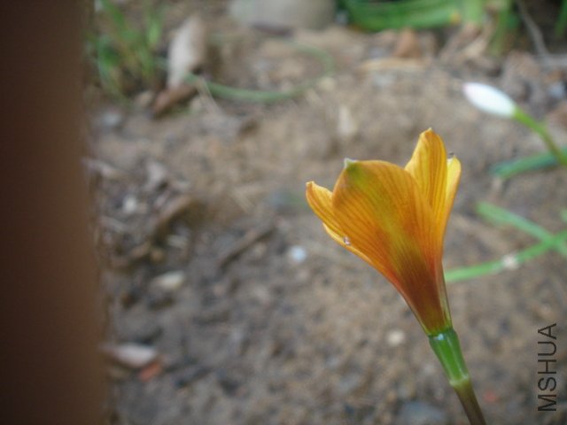 DSC04834.JPG
