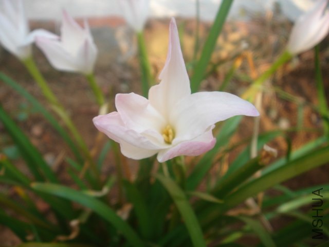 DSC04830.JPG