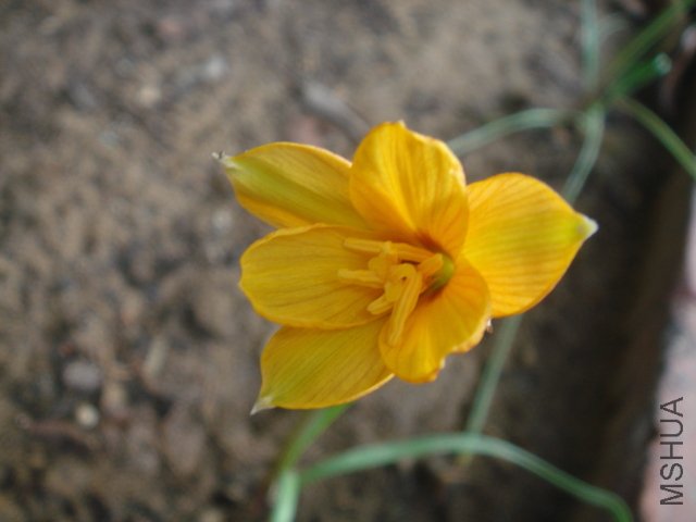 DSC04833.JPG