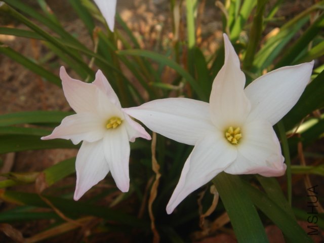 DSC04844.JPG