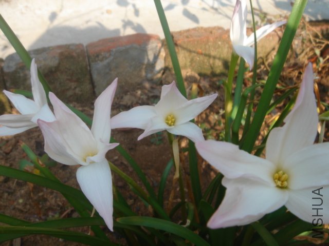 DSC04845.JPG