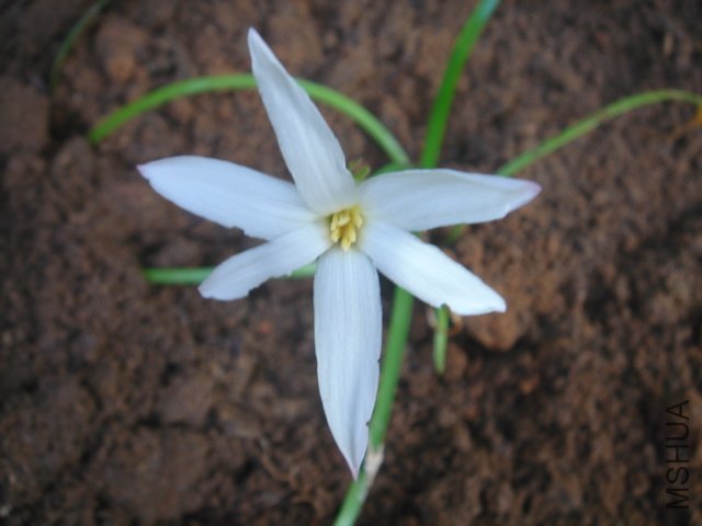 DSC04842.JPG