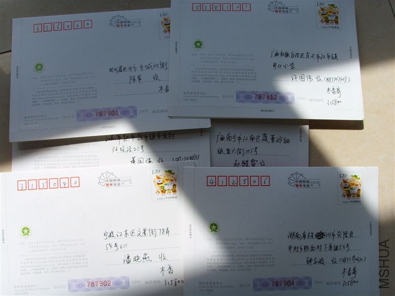 SSL29101.JPG