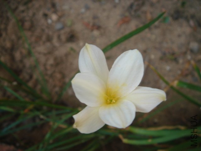 DSC04851.JPG