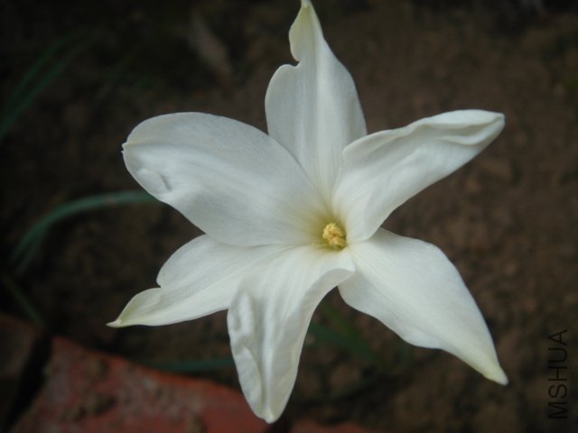 DSC04848.JPG