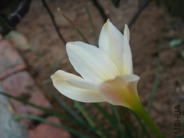 DSC04847.JPG