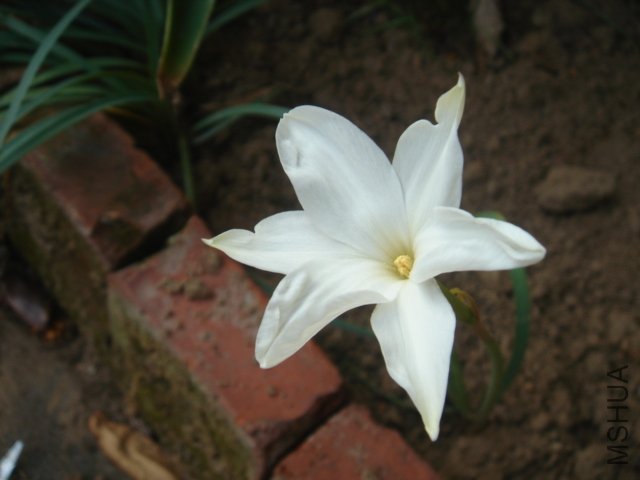 DSC04849.JPG