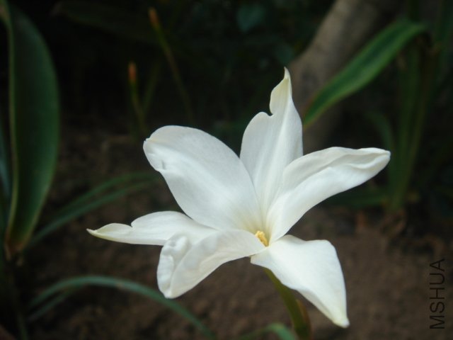 DSC04850.JPG