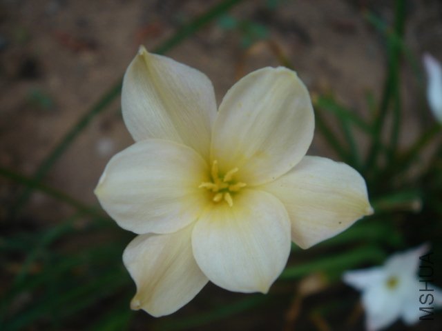 DSC04846.JPG