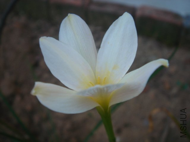 DSC04852.JPG