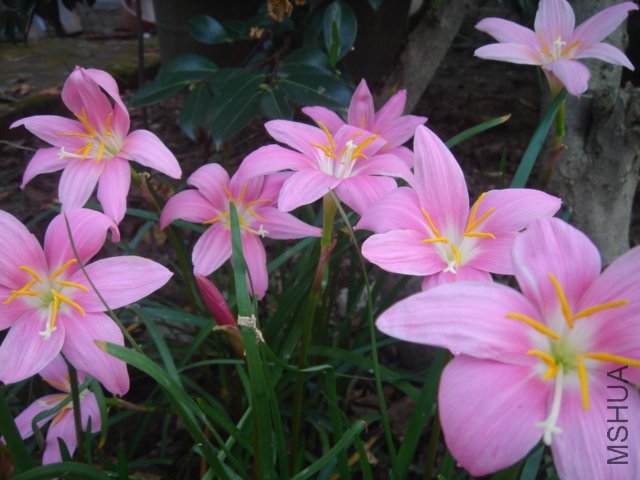 DSC04865.JPG
