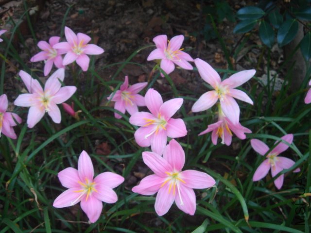 DSC04864.JPG