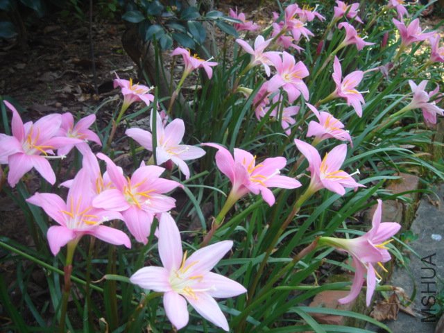 DSC04862.JPG