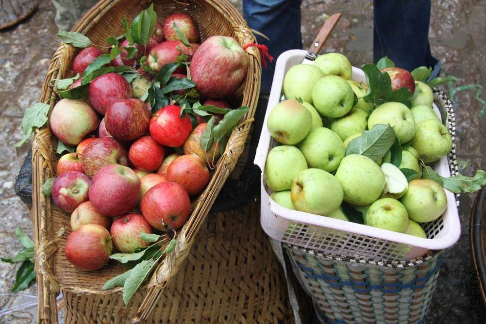 ����ˬ�����ƻ����