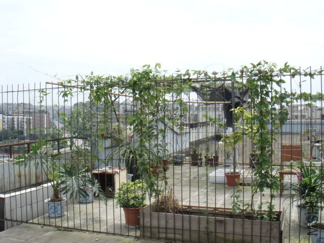 DSC06675.JPG