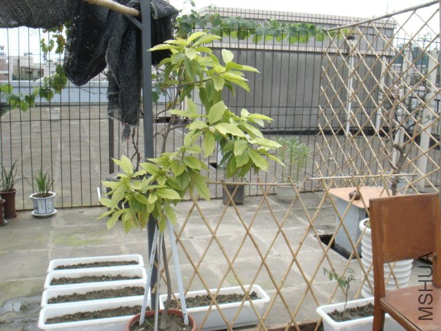 DSC06679.JPG