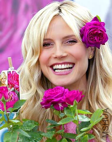 Heidi Klum Rose 2.jpg