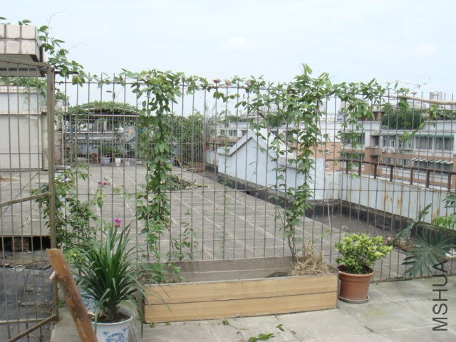 DSC06676.JPG