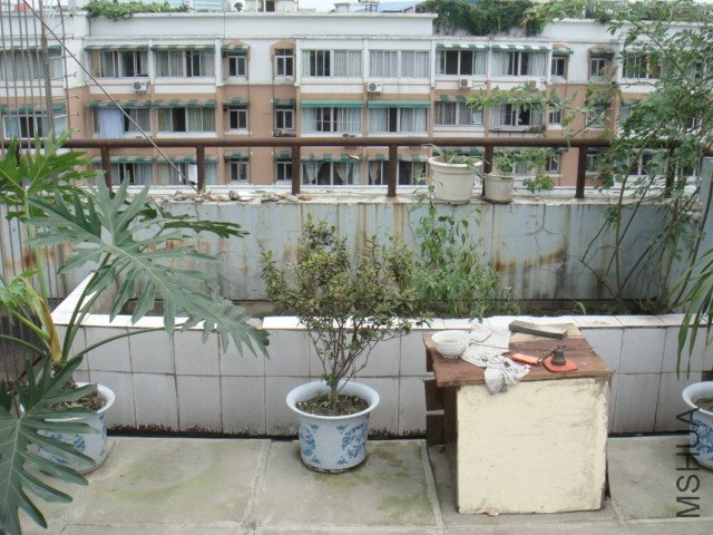 DSC06681.JPG
