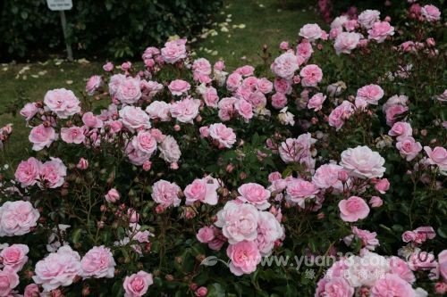 Home en Garden 3.jpg