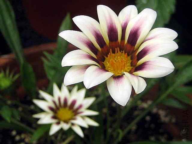 98.06.20 ���¾�.jpg