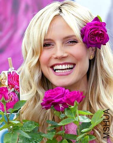 Heidi_Klum_Rose_2.jpg