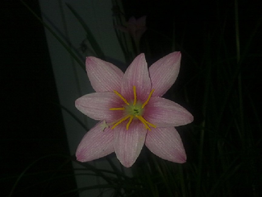 20100826336.jpg