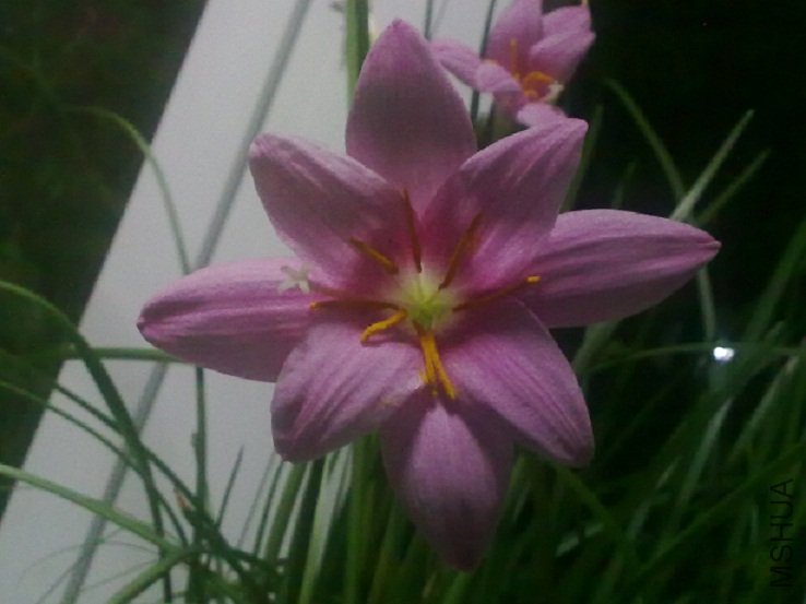20100826349.jpg