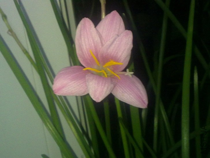 20100826342.jpg