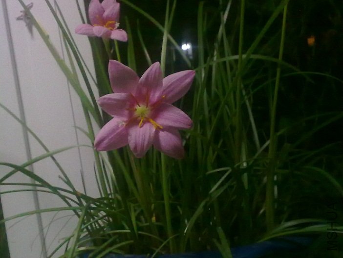 20100826345.jpg