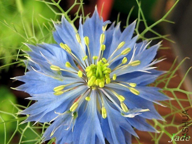 98.05.22 �ڷN��.jpg