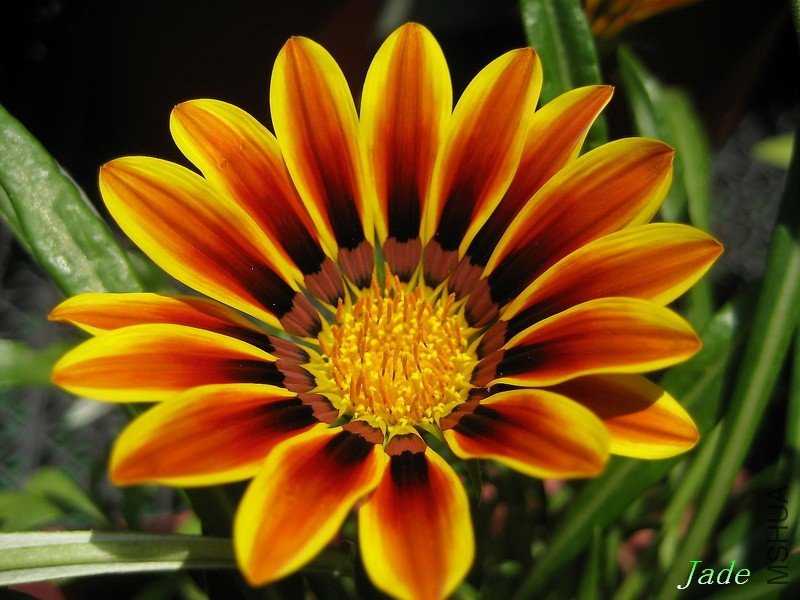 98.05.03 ���¾�.jpg