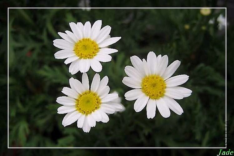 98.06.20 ��������.jpg