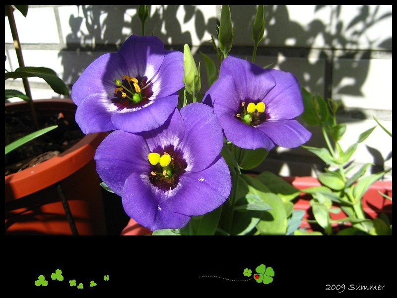 98.09.06 ��۹�.jpg