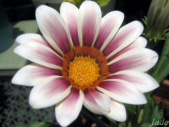 98.05.03 ���¾�-1.jpg