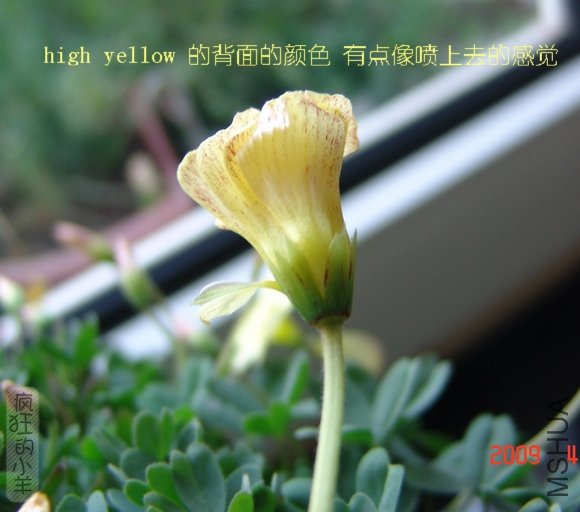 DSC01477.jpg