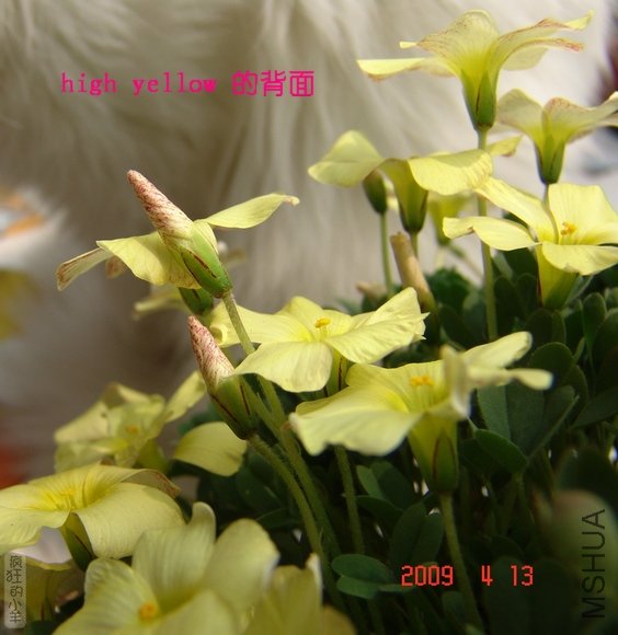 DSC01556.jpg