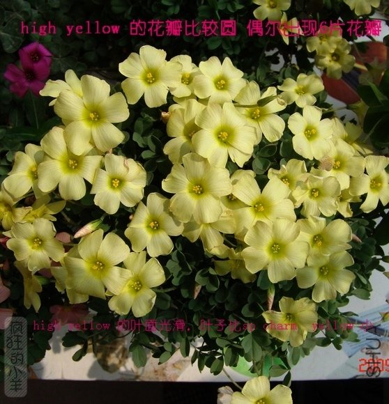 DSC01494.jpg